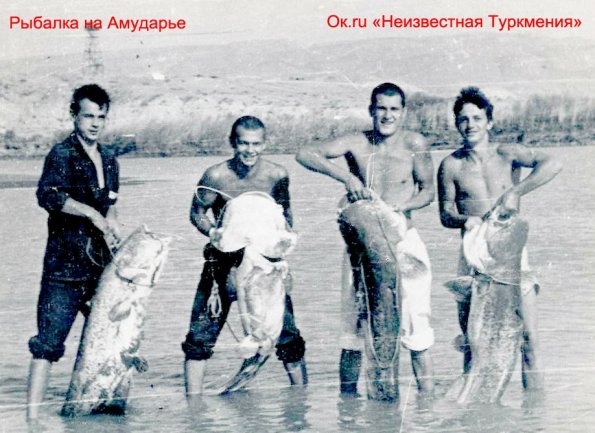 1985 Предпол Туркменистан Аму-Дарья Рыблака Сомы