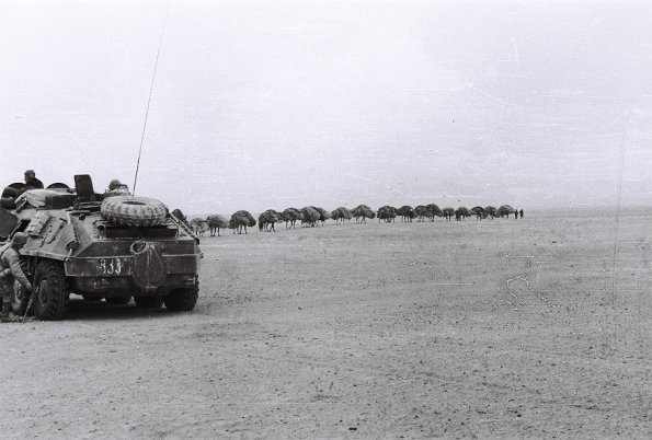 1986 Afganistan Karavan Arrested in Turgundi - Gerat
