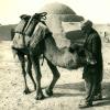 1986 Afghanistan Baloch with Camel