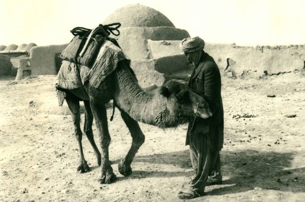 1986 Afghanistan Baloch with Camel