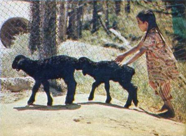 1988 Samarkand Afrosiab